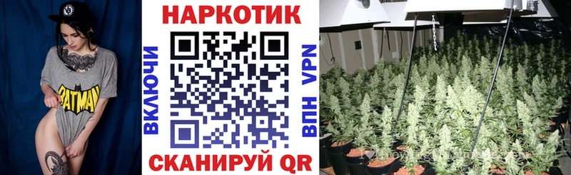 ГАШ Устюжна
