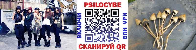 Псилоцибиновые грибы GOLDEN TEACHER Устюжна