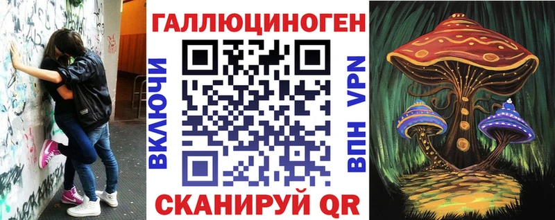 Галлюциногенные грибы Psilocybine cubensis  Устюжна 